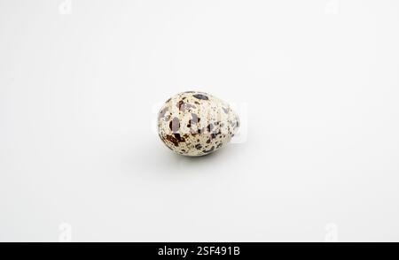 Die Eier der Wachteln (Coturnix coturnix) auf weißem Hintergrund. Stockfoto