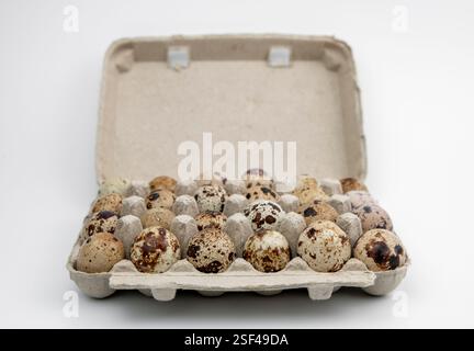 Die Eier der Wachteln (Coturnix coturnix) auf weißem Hintergrund. Stockfoto