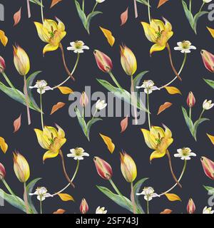 Frühlingsblumen, weiße Waldanemonenkerze, gelbe und rote Tulpe, handgezeichnet in Aquarellen. Botanische Illustration nahtloses Muster, bauchig Stockfoto