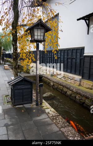 Hida Furukawa Altstadt mit Koi Carp in Stream, Japan Stockfoto