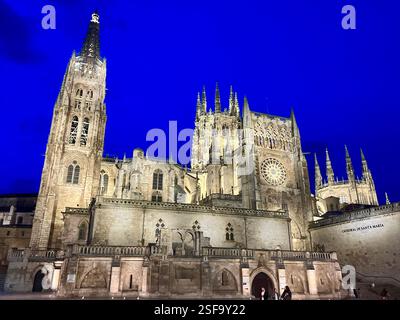 Burgos Kathedrale bei Nacht Stockfoto