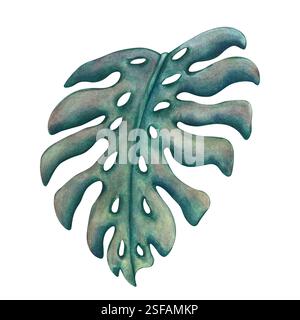 Aquarellillustration des Monstera-Blattes. Grünes Blatt der tropischen Sommerpflanze aus dem Dschungel. Monstera-Zimmerpflanze mit großen geschnitzten Blättern. Handgezeichnet Stockfoto