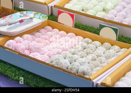 Nahaufnahme verschiedener japanischer Mochi in Pastelltönen (weiß, Grün, Rosa und Lila), die ordentlich in Tabletts angeordnet sind. Die weiche und zähe Textur, leicht Stockfoto