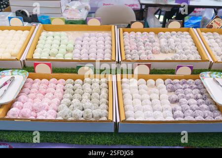 Nahaufnahme verschiedener japanischer Mochi in Pastelltönen (weiß, Grün, Rosa und Lila), die ordentlich in Tabletts angeordnet sind. Die weiche und zähe Textur, leicht Stockfoto