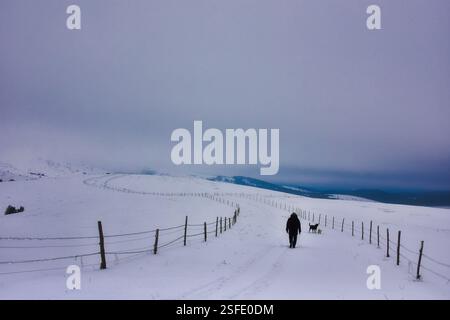 Rückansicht eines Mannes, der mit seinen Hunden in einer verschneiten ländlichen Landschaft unterwegs ist, Mt. Zlatibor, Serbien Stockfoto