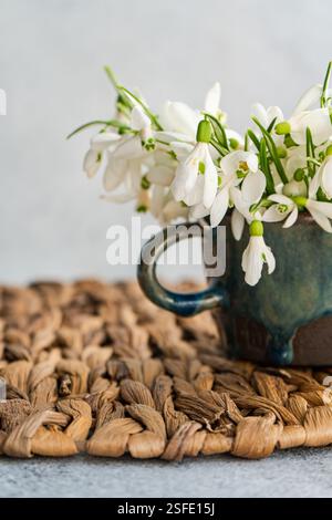 Nahaufnahme eines Bechers gefüllt mit frisch gepflückten weißen Schneetropfen (Galanthus) Stockfoto