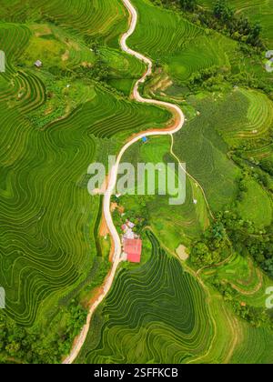 Aus der Vogelperspektive lebendige Reisterrassen in Sapa, Vietnam. Ein gewundener Schotterweg durchquert die Landschaft und führt an kleinen ländlichen Häusern vorbei, die sich darin eingebettet haben Stockfoto