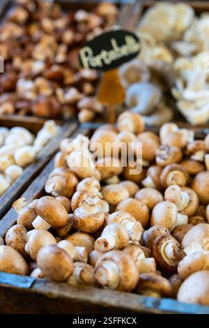 Eine Auswahl an frischen Pilzen, einschließlich portobello, auf Holztabletts auf einem Markt ausgestellt. Die Texturen und Erdfarben sorgen für eine optisch satte Optik Stockfoto