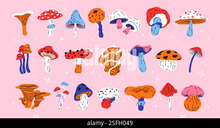 Set aus verschiedenen Waldpilzen, Pilzpilzen, Pilzpilzen, Pfifferlingen, Fliegenpilzen, Boletus Stock Vektor