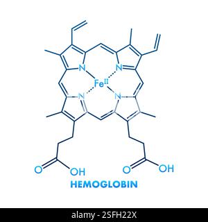 Hämoglobin-Molekülformel mit Eisen- und Stickstoffatomen Stock Vektor