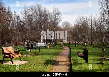 Fylde Memorial Arboretum und Gemeindewald. Stockfoto