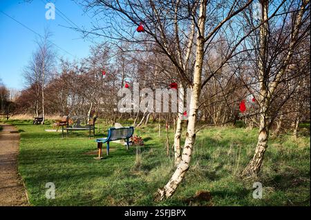 Fylde Memorial Arboretum und Gemeindewald. Stockfoto