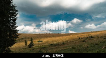 Eine riesige Wiese erstreckt sich zum Horizont hin, mit einer Kulisse aus hoch aufragenden Bergen und stürmischen Wolken Stockfoto