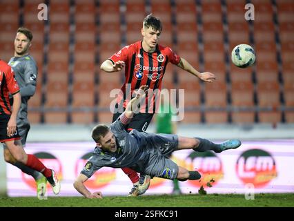 Seraing, Belgien. Februar 2025. Beverens Laurent Jans und Seraings Noah Solheid kämpfen um den Ball während eines Fußballspiels zwischen RFC Seraing und SK Beveren am Sonntag, den 9. Februar 2025 in Seraing, am 21. Tag der zweiten Liga der Challenger Pro League 2024-2025. BELGA FOTO JOHN THYS Credit: Belga News Agency/Alamy Live News Stockfoto