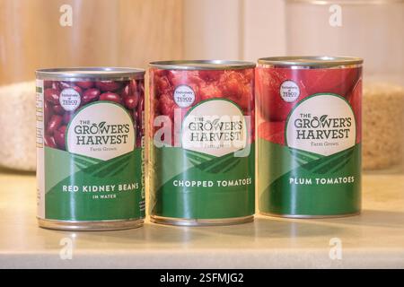 Dosen der Grower's Harvest Budget-Reihe von Lebensmitteln von Tesco. Stockfoto
