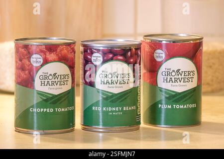 Dosen der Grower's Harvest Budget-Reihe von Lebensmitteln von Tesco. Stockfoto