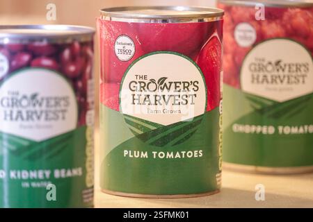 Dosen der Grower's Harvest Budget-Reihe von Lebensmitteln von Tesco. Stockfoto
