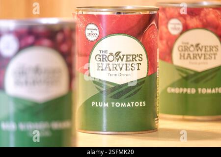 Dosen der Grower's Harvest Budget-Reihe von Lebensmitteln von Tesco. Stockfoto