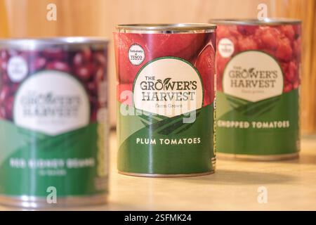 Dosen der Grower's Harvest Budget-Reihe von Lebensmitteln von Tesco. Stockfoto