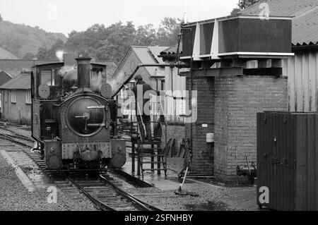 "Der Earl" bei Llanfair Caereinion. Stockfoto