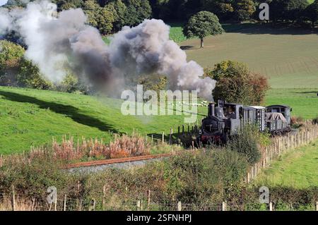 Der Earl in der Coppice Lane, zwischen Sylfaen und Castle Careinion. Stockfoto