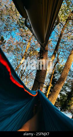 2 Frauen, die eine entspannende Zeit in gestapelten Hängematten auf Bäumen genießen, Hängematte Leiter Stockfoto