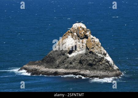 Oregon Offshore Island ist die Heimat von Seevögeln, einschließlich der schwarzen Kormorane. Diese Insel kann vom Port Orford Heads Trail aus gesehen werden. Stockfoto
