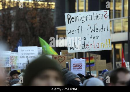 Ein kritisches Anti-AFD-Plakat an AFD-Anführerin Alice Weidel bei einer Demonstration in Nürnberg, an der rund 000 Menschen teilnahmen. Nürnberg Stockfoto