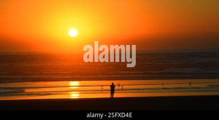 Man steht allein mit den Möwen, die einen goldenen und orangen Sonnenuntergang am Strand im Bullards Beach State Park, Oregon, bewundern und fotografieren. Stockfoto