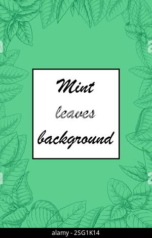 Mint hinterlässt Hintergrund. Grüne Pfefferminze. Garten melissa Pflanze. Aromatisches Kraut. Scharfe Zweige für die Kulinarik. Botanischer Skizzenrahmen. Menthol-Geschmack. Frisches grüner Minzlaub. Bannerdesign für Vektorrahmen Stock Vektor