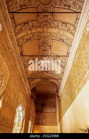 Seitliche Kammer des Palastes der Löwen Alhambra mit Nasriden Muqarnas und der Renaissance-Decke nach der Eroberung im ikonischen Palast Andalusiens Stockfoto