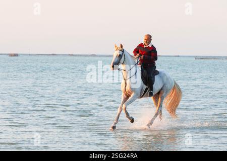 Ein Mann aus Bahrain reitet am Karbabad Beach in Manama, Bahrain Stockfoto