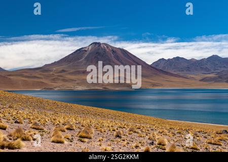 Miscanti Lagune und Vulkan Gipfel in den Anden Stockfoto
