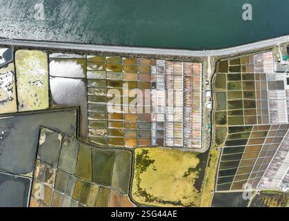 Traditionelles Salzgewinnungslager (Salinas) mit Salzhaufen in Aveiro, Portugal. Stockfoto