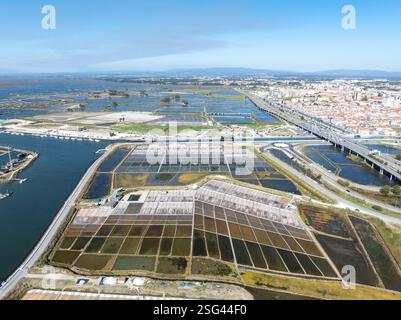 Traditionelles Salzgewinnungslager (Salinas) mit Salzhaufen in Aveiro, Portugal. Stockfoto