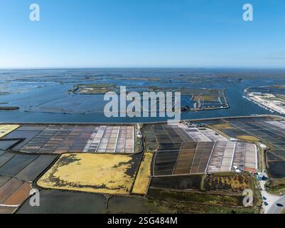 Traditionelles Salzgewinnungslager (Salinas) mit Salzhaufen in Aveiro, Portugal. Stockfoto