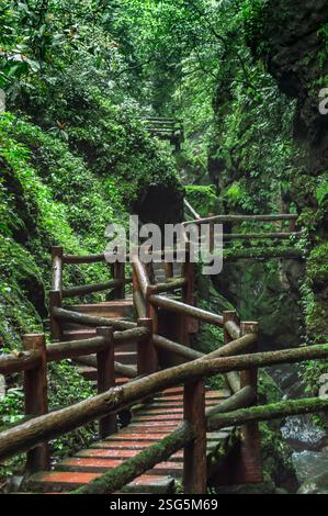 Die Plankenstraße hinter dem Qingcheng-Berg in Sichuan, China Stockfoto