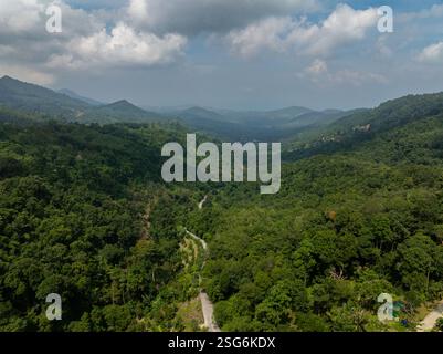 Dicht grüner Wald mit sanften Hügeln und einer kurvenreichen Straße, die im Tal sichtbar ist. Koh Samui, Thailand. Stockfoto