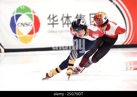 Kosei HAYASHI (JPN) im 1500-m-Viertelfinale der Frauen während der ISU Shorttrack World Tour 5 - Odido Cup am 7. Februar. 2025 im IJssportcentrum Tilburg, Niederlande Foto: SCS/Soenar Chamid/AFLO (HOLLAND OUT) Stockfoto