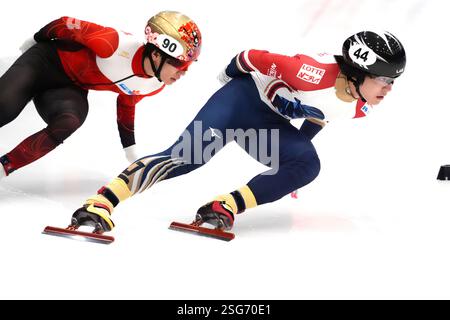 Kosei HAYASHI (JPN) im 1500-m-Viertelfinale der Frauen während der ISU Shorttrack World Tour 5 - Odido Cup am 7. Februar. 2025 im IJssportcentrum Tilburg, Niederlande Foto: SCS/Soenar Chamid/AFLO (HOLLAND OUT) Stockfoto