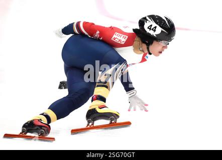 Kosei HAYASHI (JPN) im 1500-m-Viertelfinale der Frauen während der ISU Shorttrack World Tour 5 - Odido Cup am 7. Februar. 2025 im IJssportcentrum Tilburg, Niederlande Foto: SCS/Soenar Chamid/AFLO (HOLLAND OUT) Stockfoto