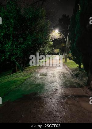 Ein Schotterweg im Park in einer regnerischen Nacht. Stockfoto