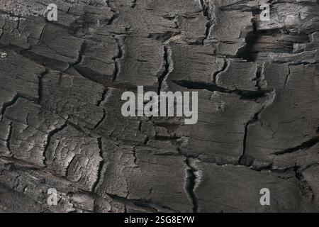 Holzverbrannte Textur, schwarze, detaillierte Oberfläche von halb verbranntem Holz mit gerissener Holzkohleschicht, dramatischer Abstract von dunklem Material brennendem Feuer Stockfoto