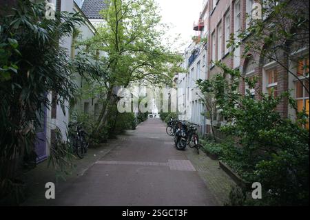 Eine Reihe farbenfroher Fahrräder säumt eine enge Straße in Amsterdam, die alle ordentlich vor einladenden Cafés parkt. Vielleicht gehören sie zu Einheimischen, die es genießen Stockfoto