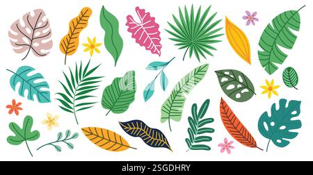 Tropische Blätter Zeichnen Clipart Set. Farbenprächtige ClipArt mit Palmen, Kokosnuss, Monstera, Hibiskus und Farnkollektion Stock Vektor