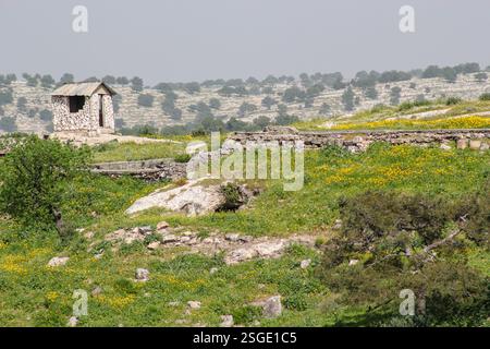 Kleine Hütte auf dem Feld Stockfoto