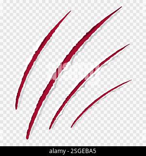 Katzenklauen rote Kratzer, gerissene Papierkante isoliert auf transparentem Hintergrund realistisch. Strukturierte Löcher mit beschädigter Oberfläche. . Vektorabbildung Stock Vektor