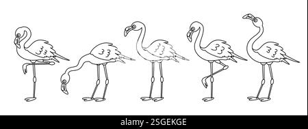 Flamingo Outline Clipart Set. Flamingo Icon Linien Sommer Vogel Clip Art Sammlung in verschiedenen stehenden Zeichnung Pose Vektor Illustration. Stock Vektor