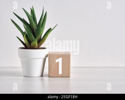 Holzblock mit Nummer eins neben einer saftigen Pflanze im weißen Topf, der Wachstum, Leistung und Erfolg repräsentiert Stockfoto