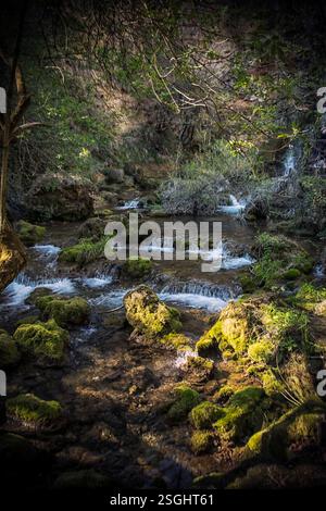 Vrelo, der kürzeste Fluss Europas, und die wunderschöne Natur um ihn herum Stockfoto